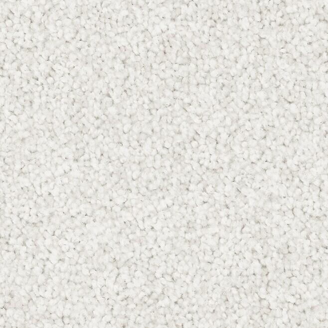 Entertaining WA Carpet Supermarket